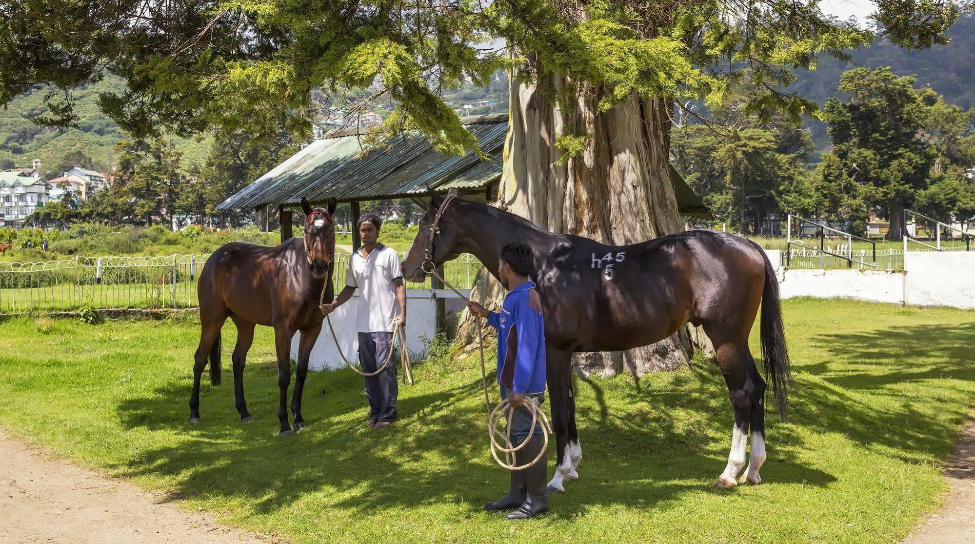 Hill Rise Luxury Villa & Stables By Edwards Collection Nuwara Eliya Esterno foto